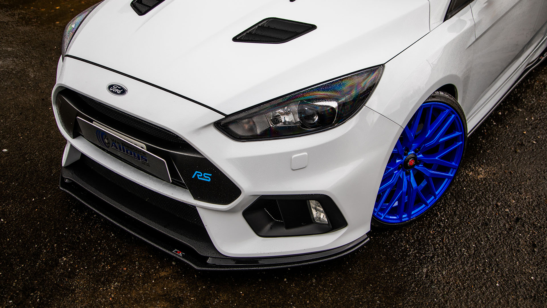 focus__0005_0D3A5559